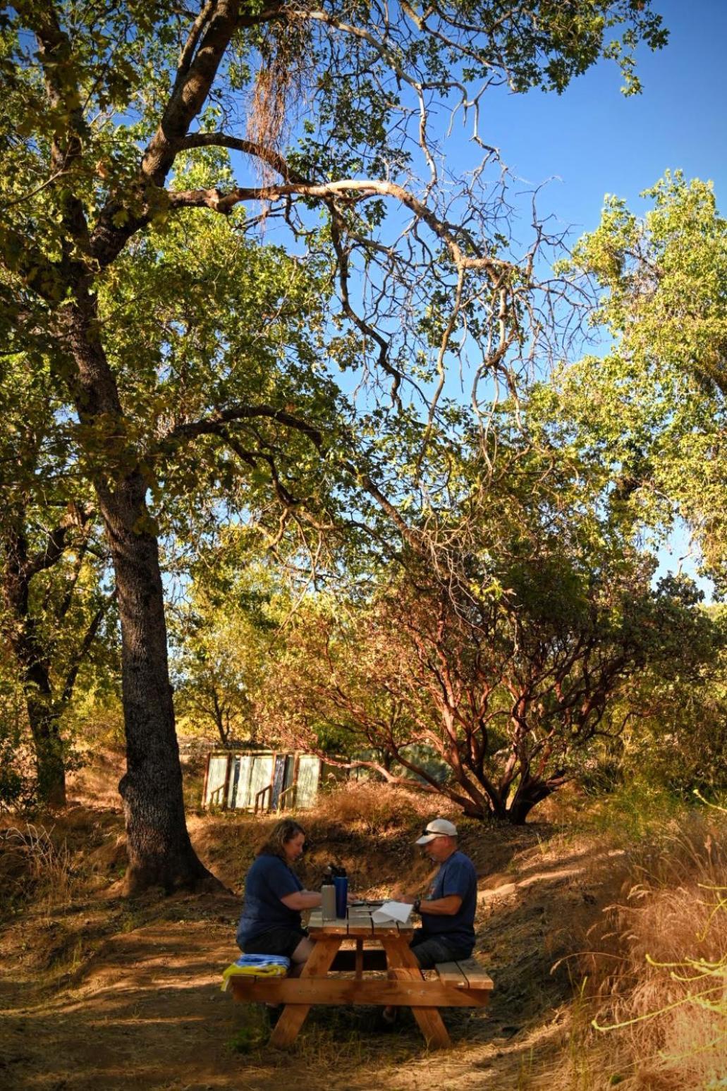 Campground At Sequoia Mountain Farms - Bring Your Own Tent Or Rv - No Bedrooms Or Beds Provided Miramonte Exterior photo